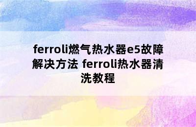 ferroli燃气热水器e5故障解决方法 ferroli热水器清洗教程